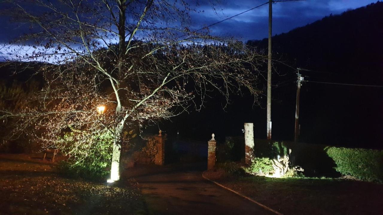 Le Wineck Villa Dambach Exterior foto