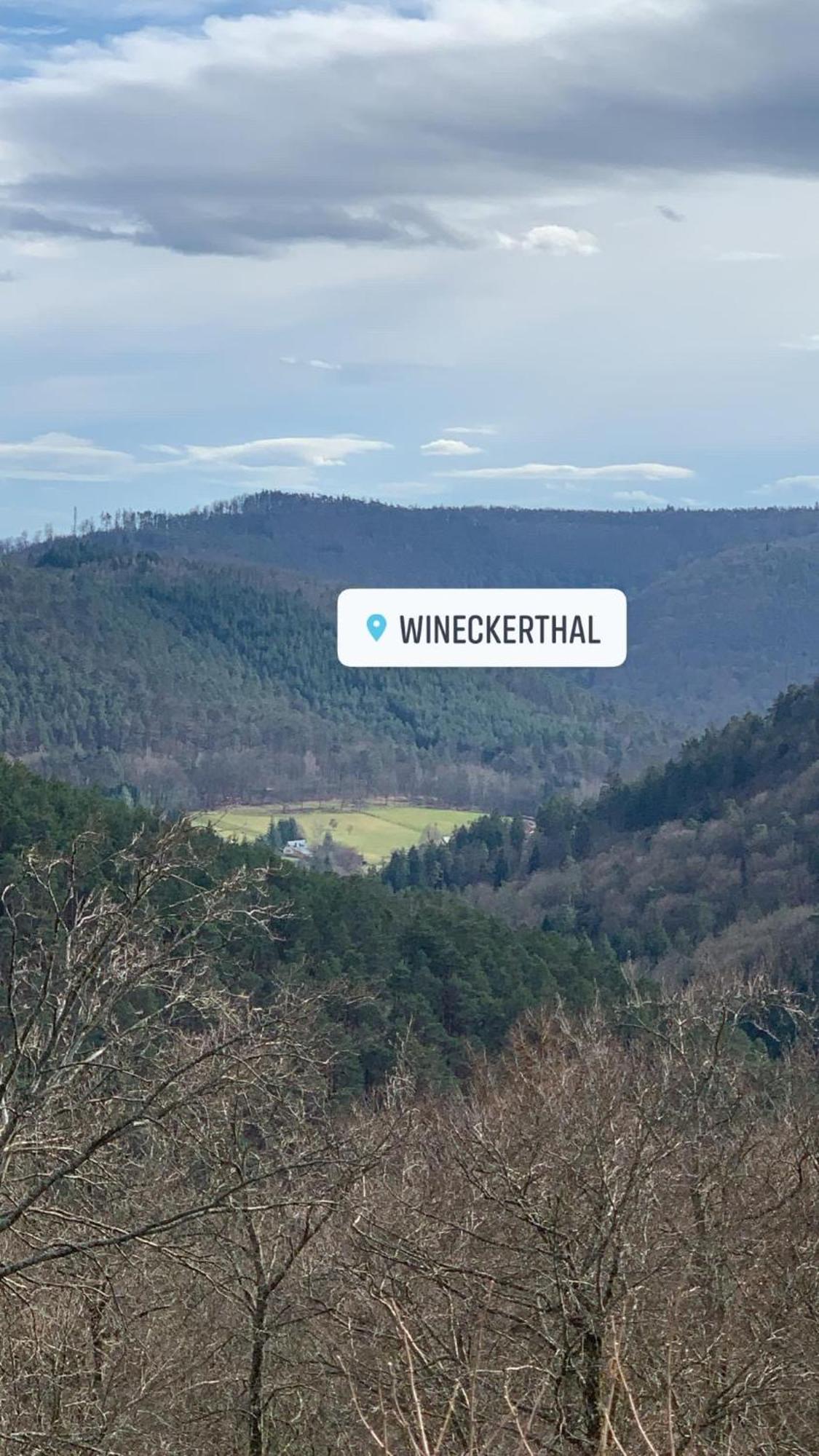 Le Wineck Villa Dambach Exterior foto