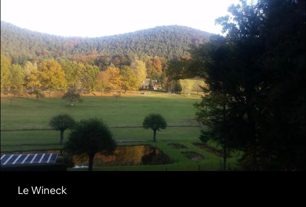 Le Wineck Villa Dambach Exterior foto