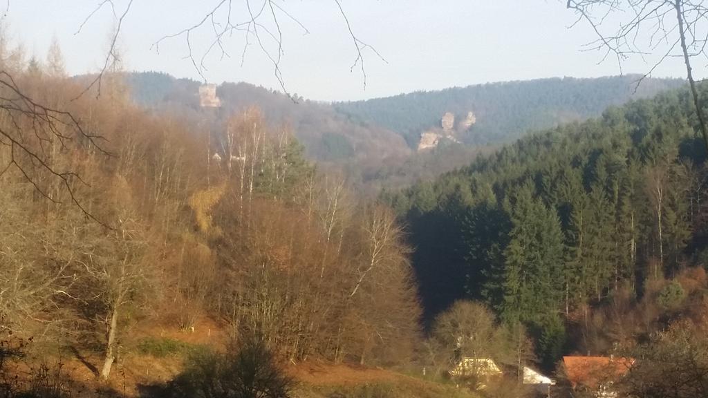 Le Wineck Villa Dambach Exterior foto